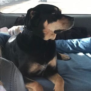 Meet your Posher, Tika